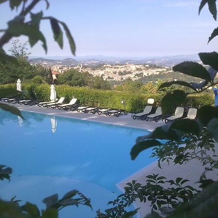 Hôtel Camping Pineta à Urbino Extérieur photo