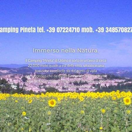 Hôtel Camping Pineta à Urbino Extérieur photo