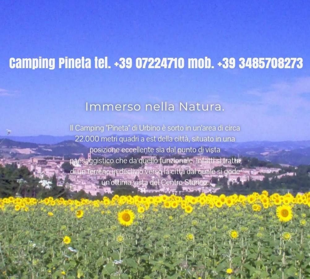 Hôtel Camping Pineta à Urbino Extérieur photo